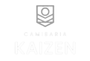 logokaizen